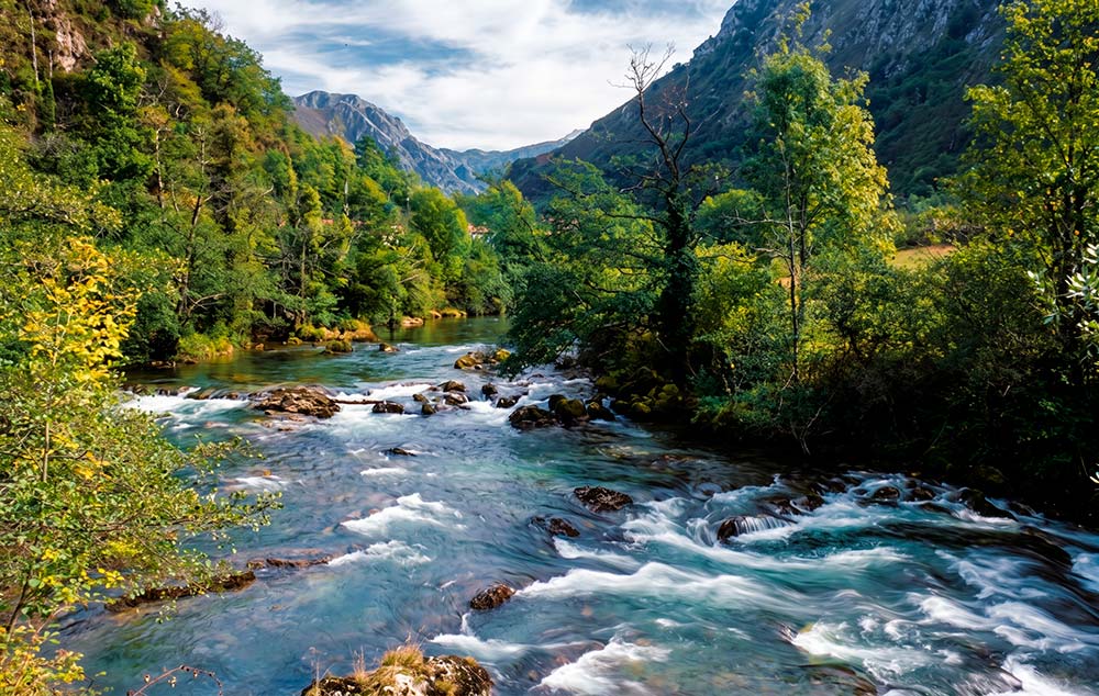 rio-sella