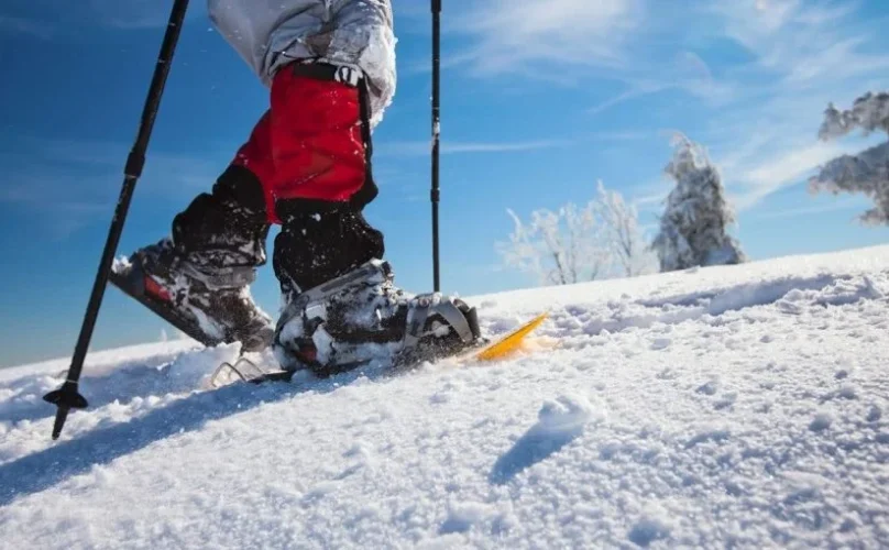 excursiones-raqueta-de-nieve-825x510