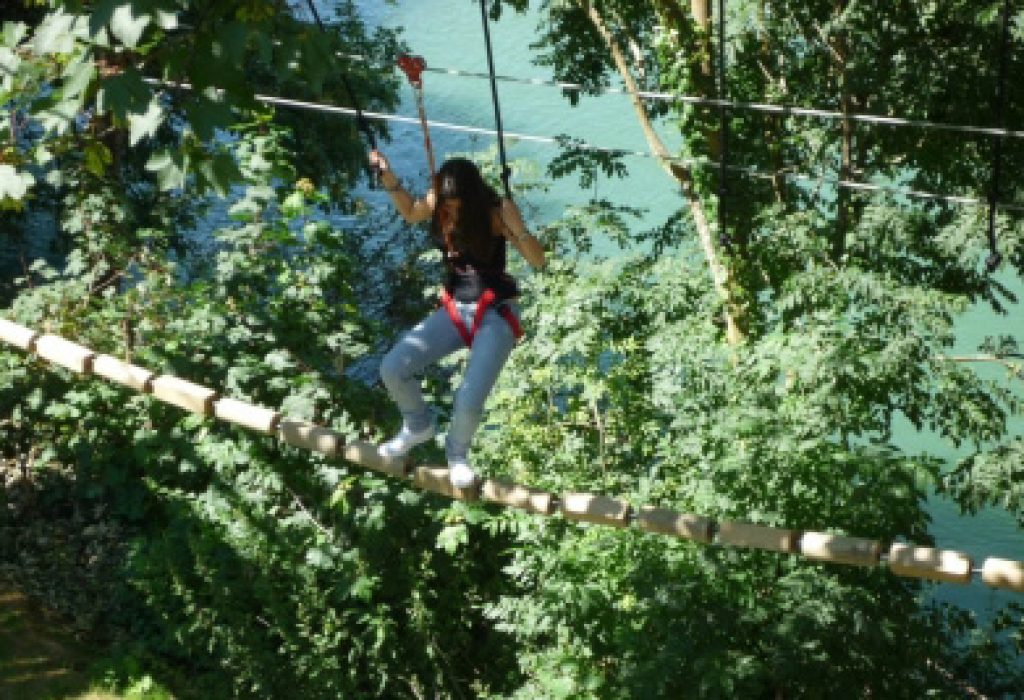 imagen (2)