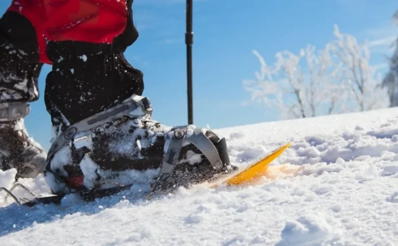 raquetas-de-nieve-asturias1-2000x560-825x510